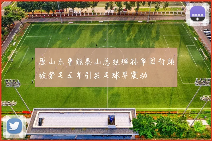 原山东鲁能泰山总经理孙华因行贿被禁足五年引发足球界震动