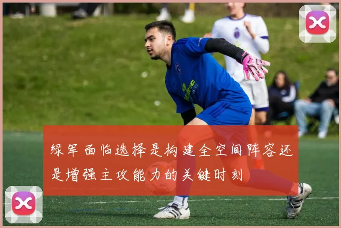 绿军面临选择是构建全空间阵容还是增强主攻能力的关键时刻