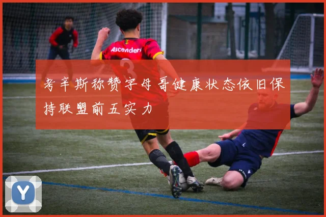 考辛斯称赞字母哥健康状态依旧保持联盟前五实力