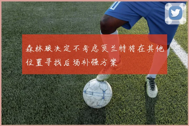 森林狼决定不考虑莫兰特将在其他位置寻找后场补强方案