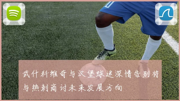 武什科维奇与汉堡球迷深情告别将与热刺商讨未来发展方向